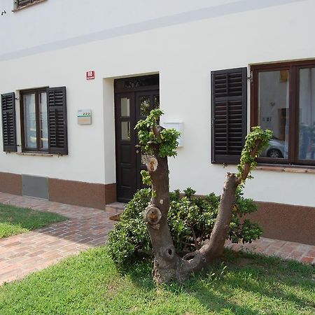 Andron Apartment Solkan Exterior photo